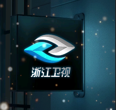 浙江卫视记者李婷：我们也是镜头后的战士